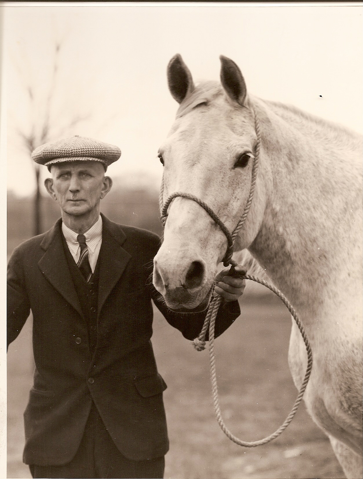 Historic photo from the MSU Horse Teaching and Research Center archive. 